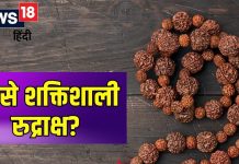 कितने मुखी रुद्राक्ष होता है सबसे शक्तिशाली? किन लोगों को नहीं करना चाहिए धारण? पहनने से पहले जान लें जरूरी बातें