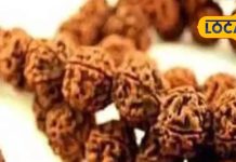 किसी ने बताया नहीं होगा! ये रुद्राक्ष बदल सकता है आपकी तकदीर, लेकिन शर्त ये है…