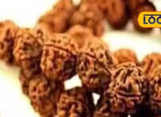 किसी ने बताया नहीं होगा! ये रुद्राक्ष बदल सकता है आपकी तकदीर, लेकिन शर्त ये है…