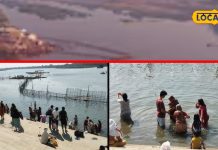 गंगा-यमुना नहीं, फिर भी यहां लगता है कुंभ! कैसे शुरू हुई दक्षिण भारत की यह अनोखी परंपरा?