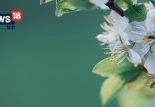 घर में मांगलिक आयोजन का संकेत देती है सपने में फूलों की माला का दिखना!