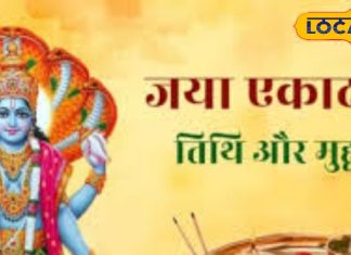 जया एकादशी उपाय: तुलसी के चमात्कारी उपाय खोलेंगे बंद किस्मत का ताला, आचार्य से जानें खास टिप्स