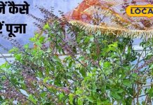 बढ़ाएं घर की समृद्धि! फाल्गुन माह में तुलसी में ये 2 चीजें को करें अर्पित, मां लक्ष्मी हो जाएंगी प्रसन्न