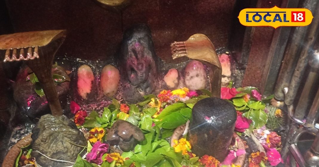 महाशिवरात्रि के दिन इन शिव मंदिरों में करें दर्शन, चर्म रोग से मिलेगा निजात