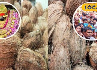 मां विंध्यवासिनी धाम में चढ़ाए गए 20 लाख नारियल, 35 ट्रक नारियल की सप्लाई के बाद भी है खूब डिमांड