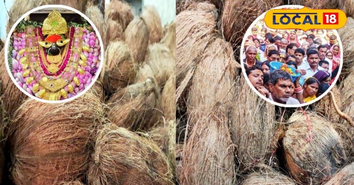मां विंध्यवासिनी धाम में चढ़ाए गए 20 लाख नारियल, 35