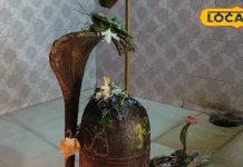 मिल गया स्वयंभू शिवलिंग! जमीन से हुआ है प्रकट, हर साल बढ़ रही ऊंचाई, जानें क्या है छत्तीसगढ़ के इस मंदिर की मान्यता