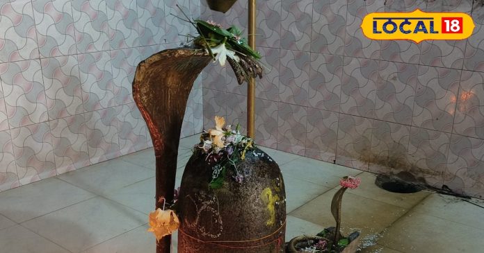 मिल गया स्वयंभू शिवलिंग! जमीन से हुआ है प्रकट, हर