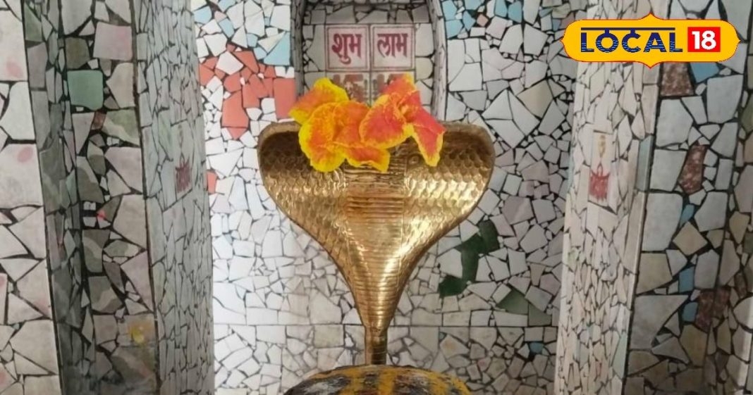 शिवरात्रि पर सुल्तानपुर के इन शिव मंदिरों के करें दर्शन, हर मनोकामना होगी पूरी