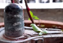 शिवलिंग पर रोज जल चढ़ाते हैं? भूलकर भी न करें ये गलतियां…खुश नहीं नखुश हो जाएंगे महादेव!