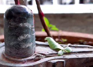 शिवलिंग पर रोज जल चढ़ाते हैं? भूलकर भी न करें ये गलतियां…खुश नहीं नखुश हो जाएंगे महादेव!