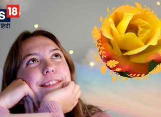 सपने में दिखाई देता है गुलाब का फूल या कानों में खुद पहन रहे हैं बाली? समझ लीजिए लगने वाली है आपकी लॉटरी, जानें कैसे?