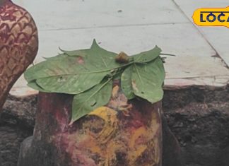 स्वप्न में आए भोलेनाथ, भक्त से कहा… फिर खुदाई में मिली ऐसी चीज, देखकर दंग रह गए सभी लोग!