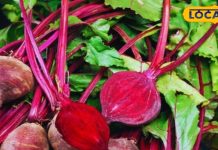 चुकंदर खाने से होते हैं ये चमत्कारी फायदे, जानकर आज से शुरू कर देंगे खाना – Bharat.one हिंदी