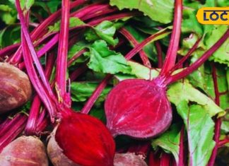 चुकंदर खाने से होते हैं ये चमत्कारी फायदे, जानकर आज से शुरू कर देंगे खाना – Bharat.one हिंदी