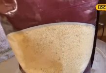 एक बार खा लिया ये लड्डू तो छोड़ नहीं पाएंगे! सेहत को देता है ऐसे चमत्कारी फायदे कि डॉक्टर भी करने लगे सिफारिश