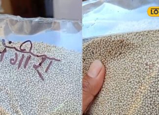 इस छोटे से बीज में छुपा है पेट की हर समस्या का इलाज, फायदे इतने की…