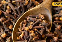 रात में 2 लौंग चबाकर सोने के असली फायदे, रग रग में दौड़ेगी ताकत, मोटापा रहेगा कोसो दूर – Bharat.one हिंदी