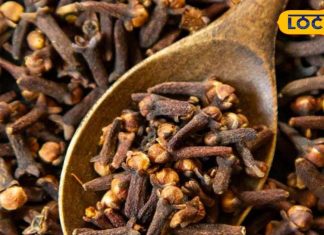 रात में 2 लौंग चबाकर सोने के असली फायदे, रग रग में दौड़ेगी ताकत, मोटापा रहेगा कोसो दूर – Bharat.one हिंदी