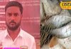 इस युवक ने बनाया मछली का अचार, रोटी, पराठा, चावल का स्वाद होगा दोगुना – Bharat.one हिंदी
