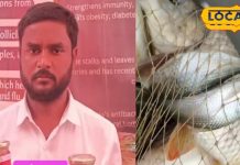इस युवक ने बनाया मछली का अचार, रोटी, पराठा, चावल का स्वाद होगा दोगुना – Bharat.one हिंदी
