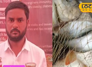 इस युवक ने बनाया मछली का अचार, रोटी, पराठा, चावल का स्वाद होगा दोगुना – Bharat.one हिंदी