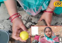 बिना खोया, बिना पाउडर! इस फल से बनाएं रसगुल्ला, हर बाइट में घुली होती है मिठास