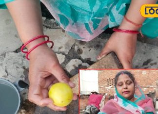 बिना खोया, बिना पाउडर! इस फल से बनाएं रसगुल्ला, हर बाइट में घुली होती है मिठास