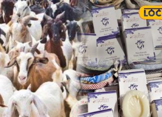 अब हर नहाने में नैचुरल ग्लो! बकरी के दूध वाला साबुन लगाएं,केमिकल को दूर भगाएं!