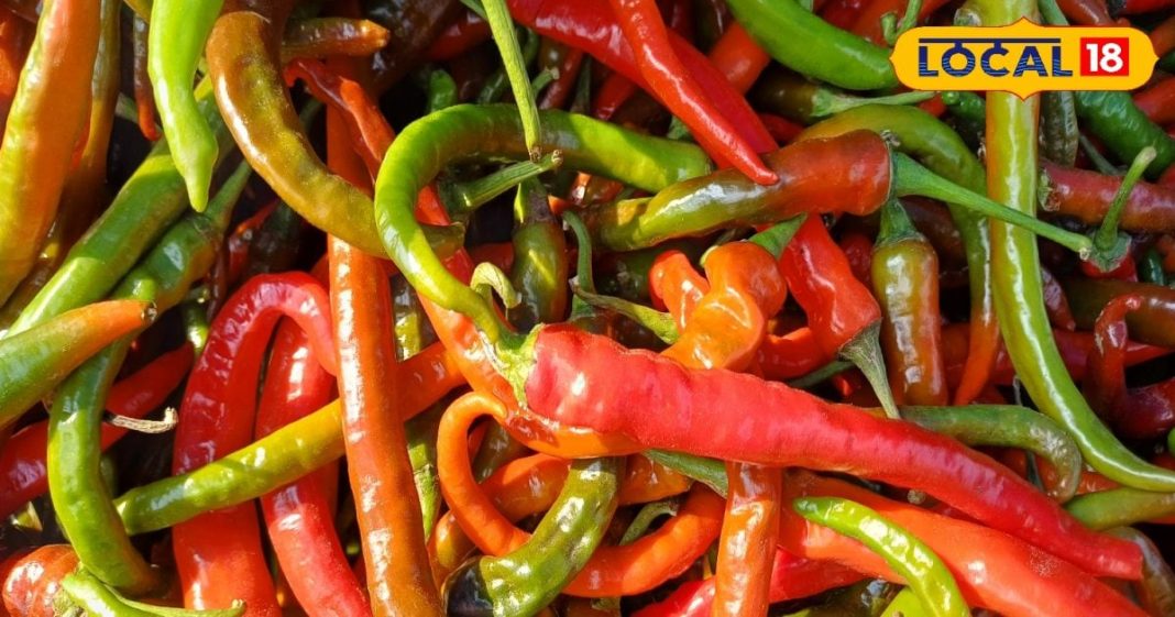 काफी स्वादिष्ट होता है इस मिर्च का अचार, खरीदकर स्टोर कर लेते हैं लोग – Bharat.one हिंदी