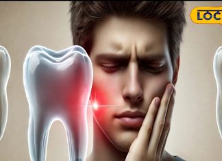 पायरिया में आपके काम आ सकता है ये पत्ता, दांत और मसूड़े भी होंगे मजबूत!