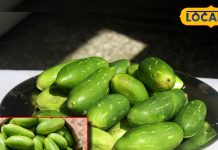 नेचुरल मेडिसिन से कम नहीं! ये सब्जी गर्मियों में देती है जबरदस्त फायदा, लेकिन जल्दी खत्म हो जाती है