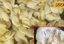 कच्चे या भुने..सुबह खाली पेट खाएं इस फल के 8-10 बीज, आंखों से उतर जाएगा चश्मा!