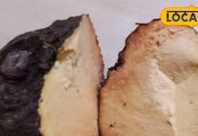 जोड़ों के दर्द का काल है ये सब्जी, बवासीर-कब्ज में दिलाए राहत, कैंसर मरीजों…