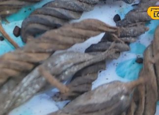 महंगे बेबी प्रोडक्ट्स छोड़िए, इस आदिवासी नुस्खे से बच्चा बनेगा मजबूत… सालों तक हड्डियों रहेंगी मजबूत