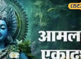 Amalaki Ekadashi Upay: राशि के अनुसार आमलकी एकादशी के दिन करें ये खास उपाय, बोरी भर-भर बरसेगा धन