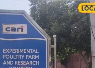 स्वाद भी, सेहत भी! प्रोटीन से भरपूर अंडे की रबड़ी, फिटनेस लवर्स के लिए परफेक्ट ट्रीट, जरूर करें ट्राई