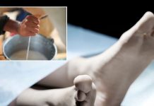 महिला ने पिया गाय का दूध, हो गई रेबीज से मौत… जाने-अनजाने में आप भी न करें ऐसी गलती, जानें क्यों