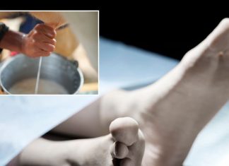 महिला ने पिया गाय का दूध, हो गई रेबीज से मौत… जाने-अनजाने में आप भी न करें ऐसी गलती, जानें क्यों