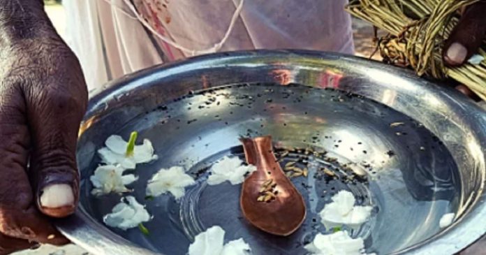 Chaitra Amavasya 2025 Tarpan Vidhi: चैत्र अमावस्या पर कुश के