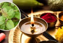 Chaitra Month Tulsi Upay: चैत्र के महीने में करें तुलसी का छोटा उपाय, बदल जाएगा भाग्य! वैवाहिक जीवन में आएंगी खुशियां