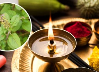 Chaitra Month Tulsi Upay: चैत्र के महीने में करें तुलसी का छोटा उपाय, बदल जाएगा भाग्य! वैवाहिक जीवन में आएंगी खुशियां