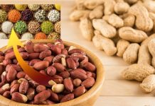 Food Fact: पीनट नट्स है या दाल? 99% लोग नहीं जानते होंगे इसका सही जवाब, जानकर GK कर लो तेज