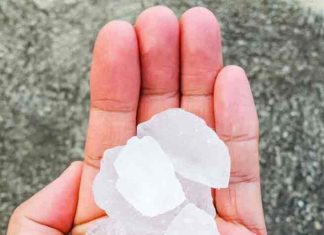 Fitkari Ke Upay: एक फिटकरी करेगी आपकी कई परेशानियों को खत्म, कर्ज मुक्ति-वास्तु दोष से इस तरह पाएं छुटकारा