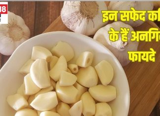 शारीरिक समस्याओं का दूर कर देगी ये सफेद कली, पुरुषों में बढ़ाए ताकत