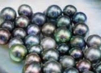 Gemstone Benefits : इस दुर्लभ मोती को पहनते ही गुस्सा हो जाता है गायब! व्यावसायिक घाटा और अनहोनी से होगा बचाव, जानें और भी बातें