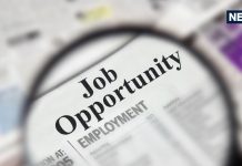 ऐसे बनता है कुंडली में सरकारी नौकरी और धन लाभ के योग, कौनसे ग्रह देते हैं शुभ फल? जानें क्या कहता है ज्योतिष शास्त्र?