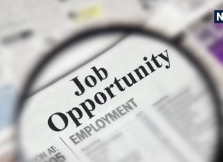 ऐसे बनता है कुंडली में सरकारी नौकरी और धन लाभ के योग, कौनसे ग्रह देते हैं शुभ फल? जानें क्या कहता है ज्योतिष शास्त्र?