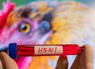 H5N1 वैक्सीन किशोरों के लिए अधिक फायदेमंद, जानें कैसे?