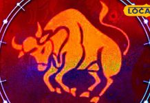 Vrishabh Rashi: आज लव लाइफ में नए पार्टनर की होगी एंट्री! विवाह के भी बन रहे योग